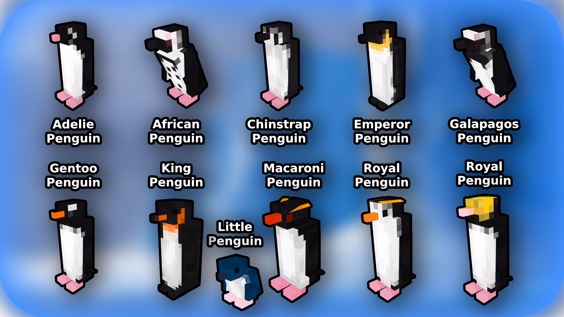 What languages are supported by penguinmod - search?