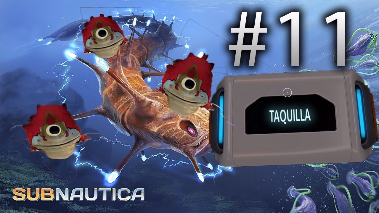 What is Subnautica & Subnautica Below Zero?