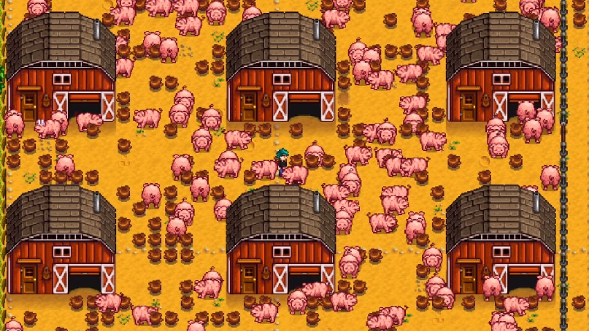 How do you get pigs in Stardew Valley?