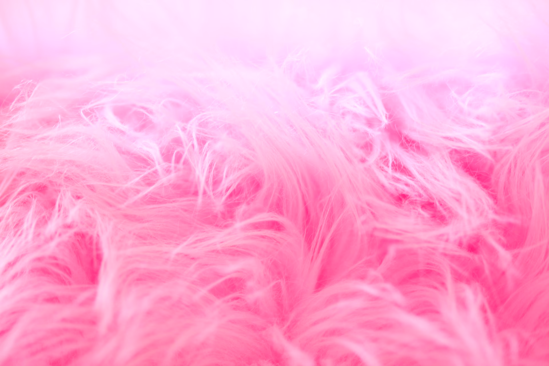 Is pink used in photography?