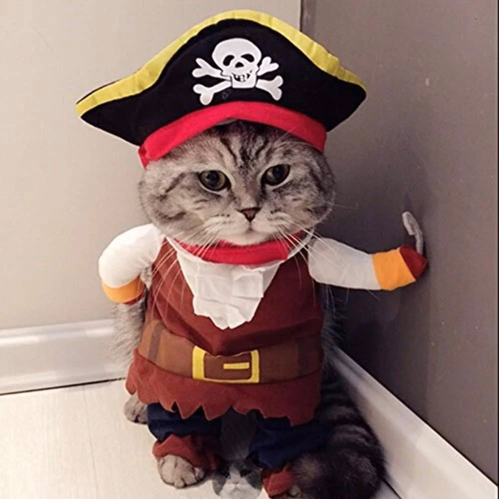 Are there movies about pirates?