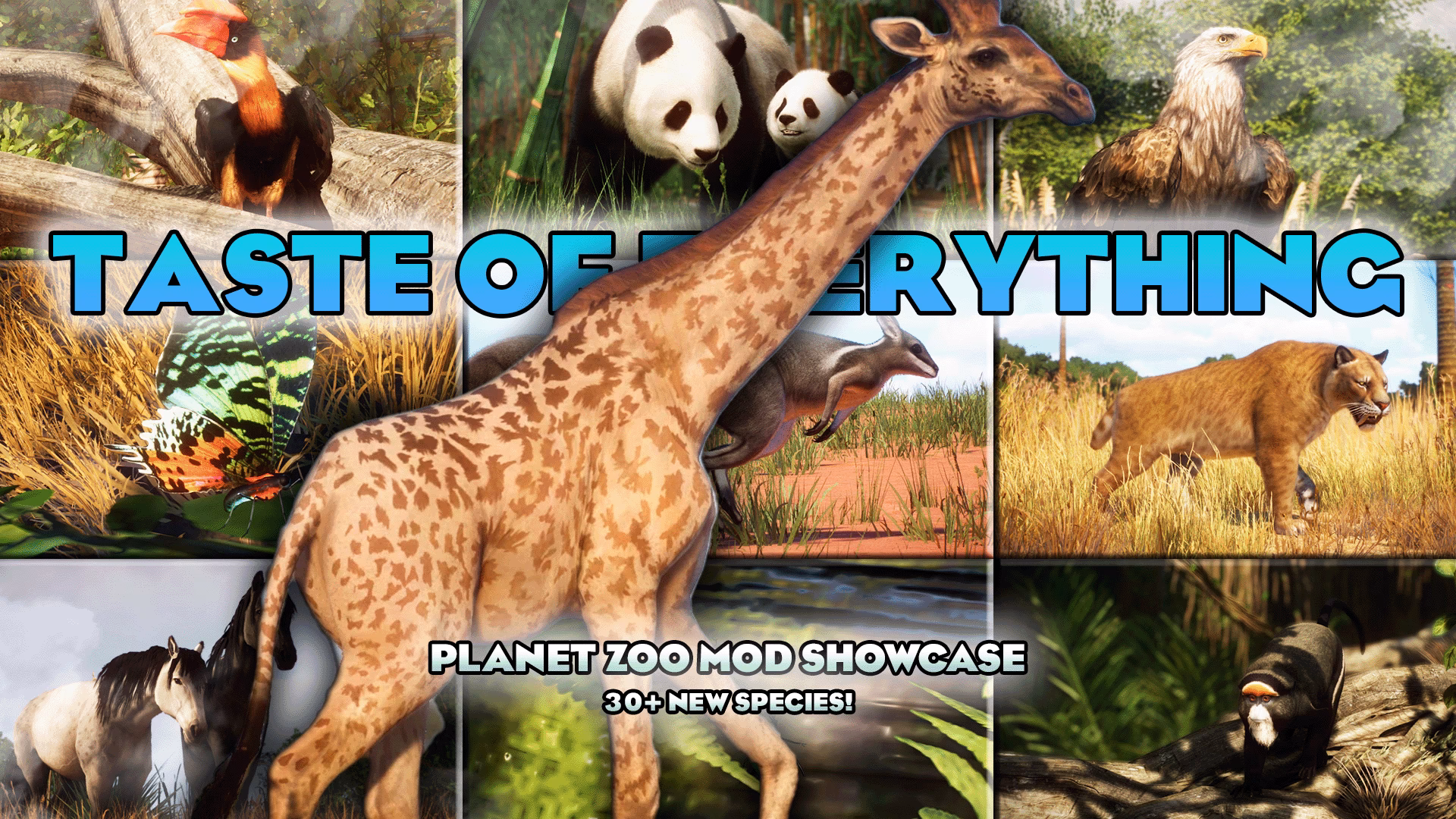 What is Planet Zoo mod library?