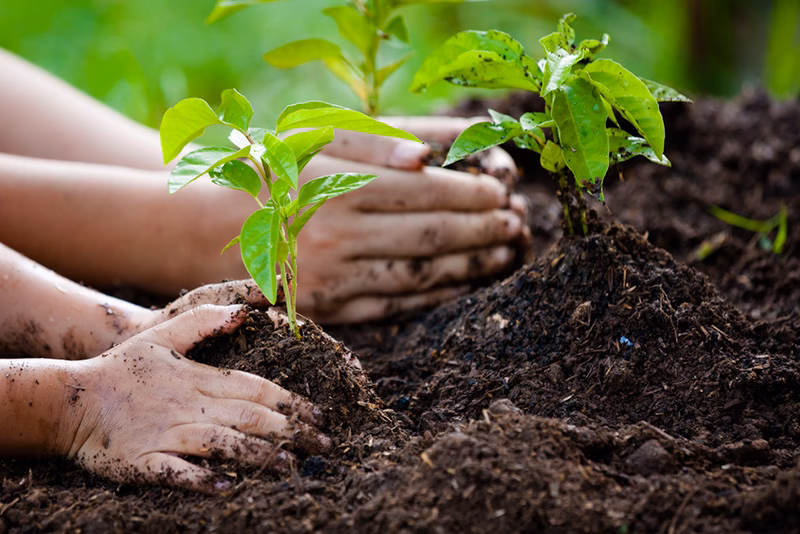 How do you cultivate true happiness?