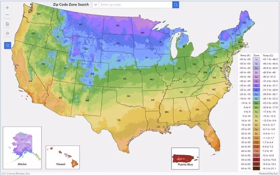 How many plants are there in the world?