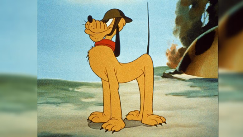Does Pluto have a dog spirit?