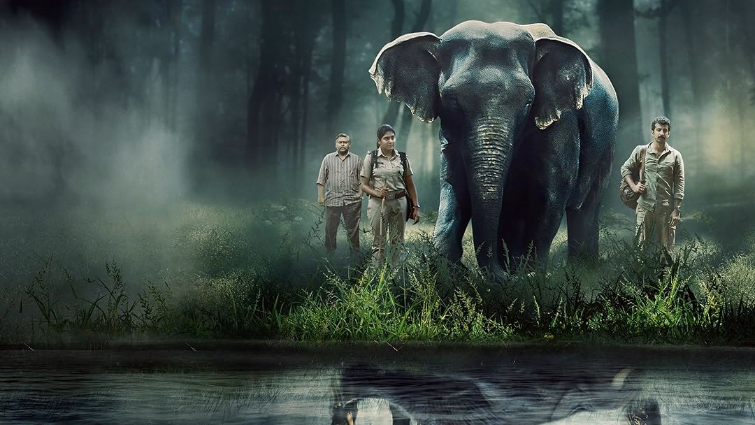 ¿Qué es Textual Poachers?