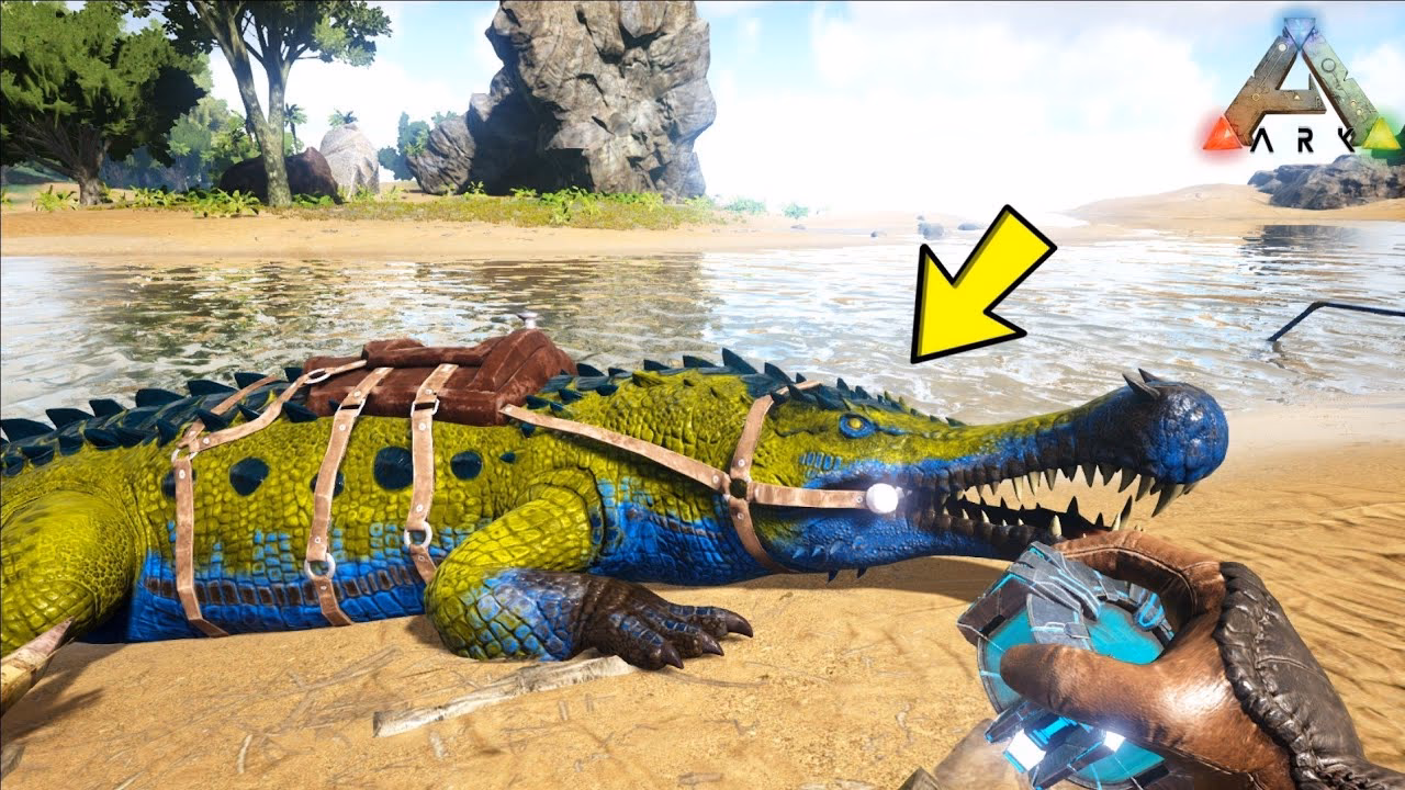 What happens if you leave a Pokeball in a rescue PvP?