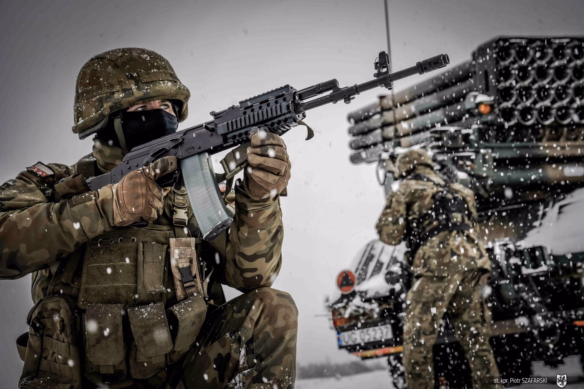 How many military branches are there in Poland?