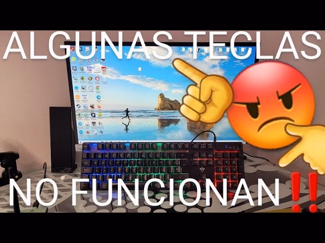 ¿Qué son las teclas de función?