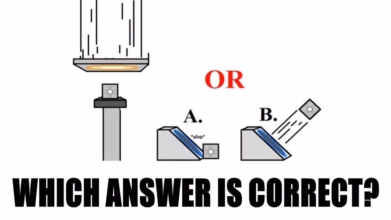 What is a 'portal' & 'Portal 2' quiz?