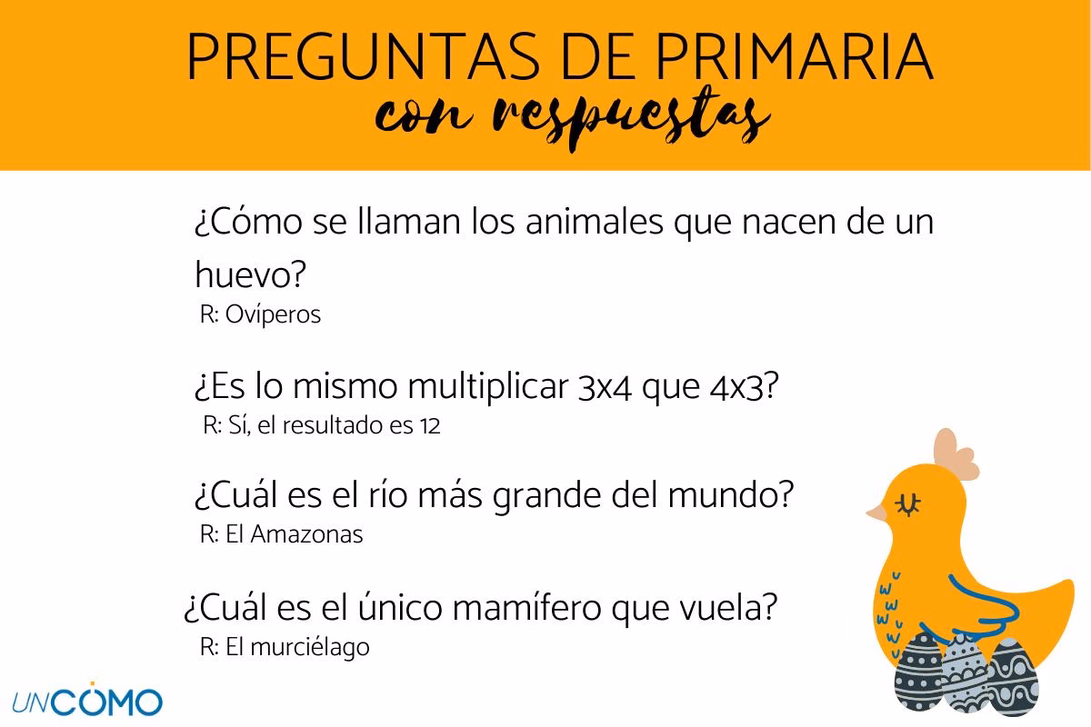 ¿Qué son las preguntas de trivia?