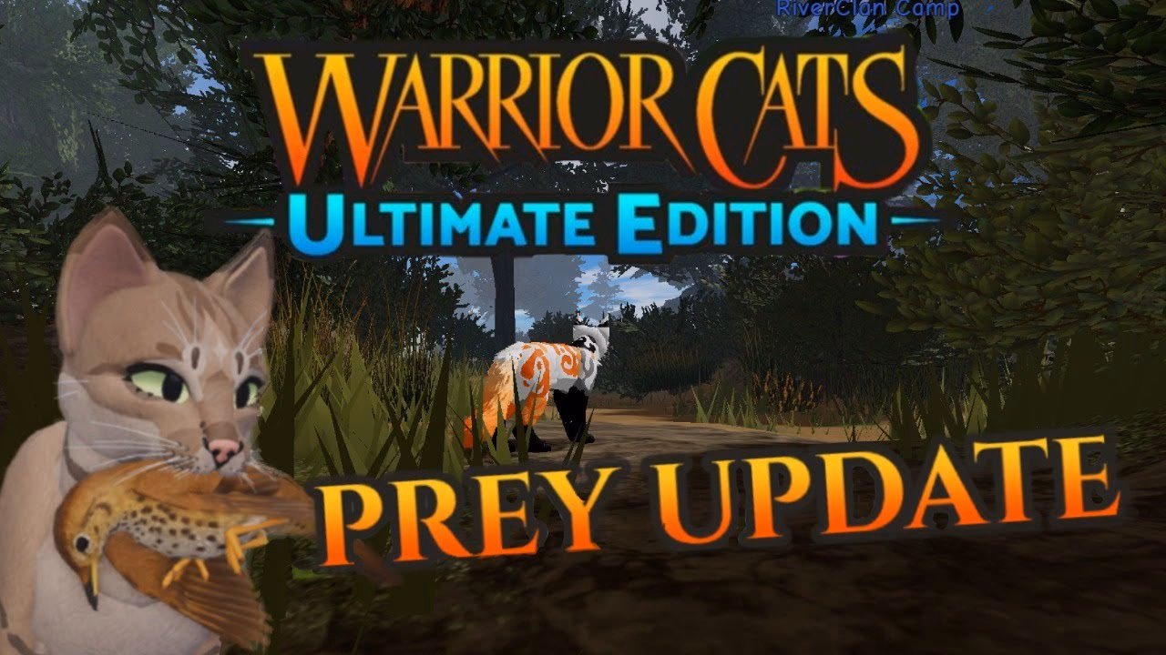 What's new in the prey update?