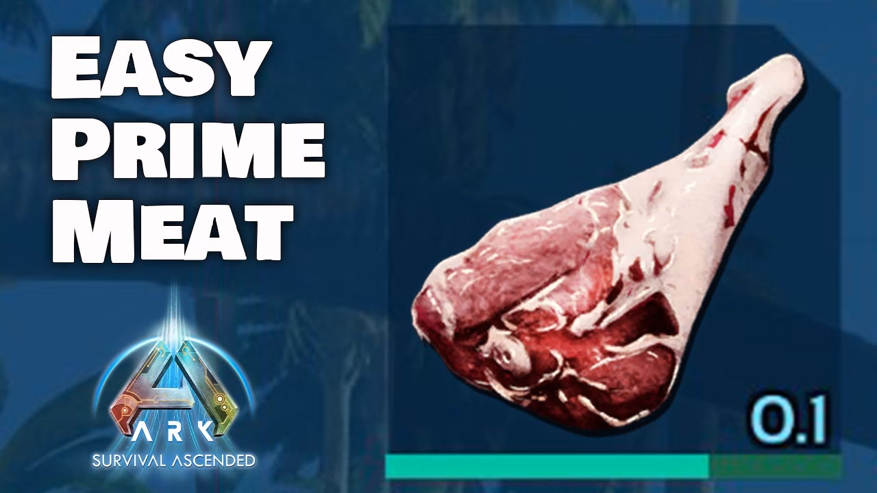 What is cooked prime meat in Ark Survival Evolved?