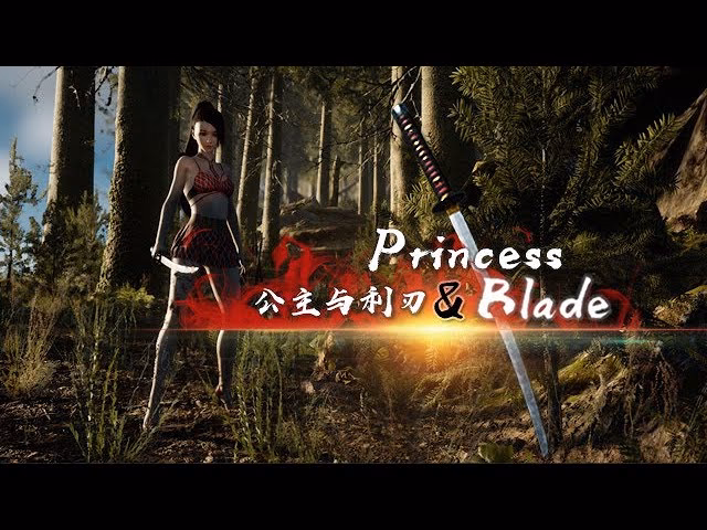 Why did a princess pick up a blade?