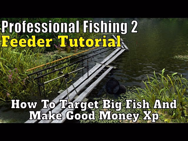 What are the best fishing tips and tricks for beginners?
