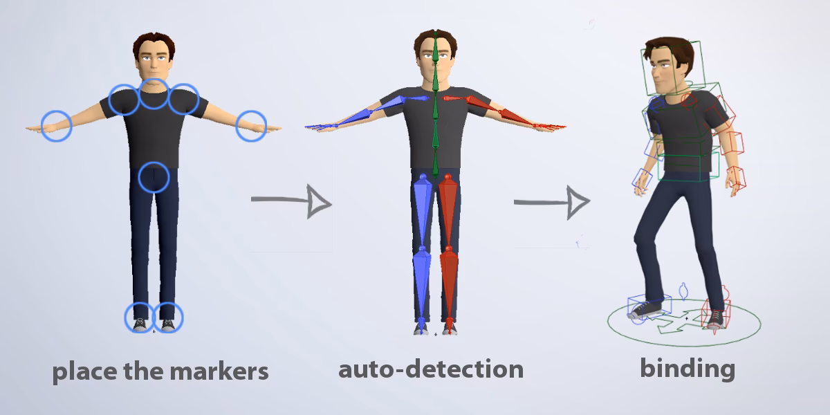 Which rig is best for animation?
