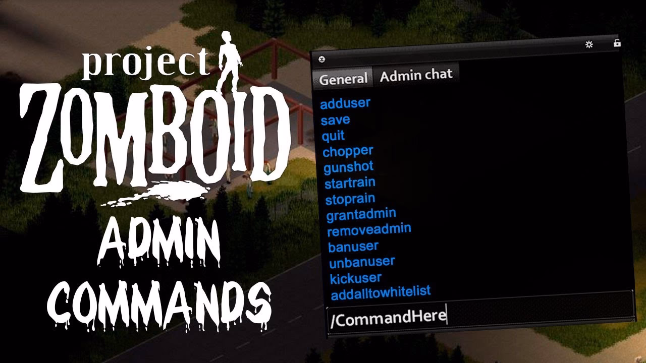 How do I use a Project Zomboid admin command?