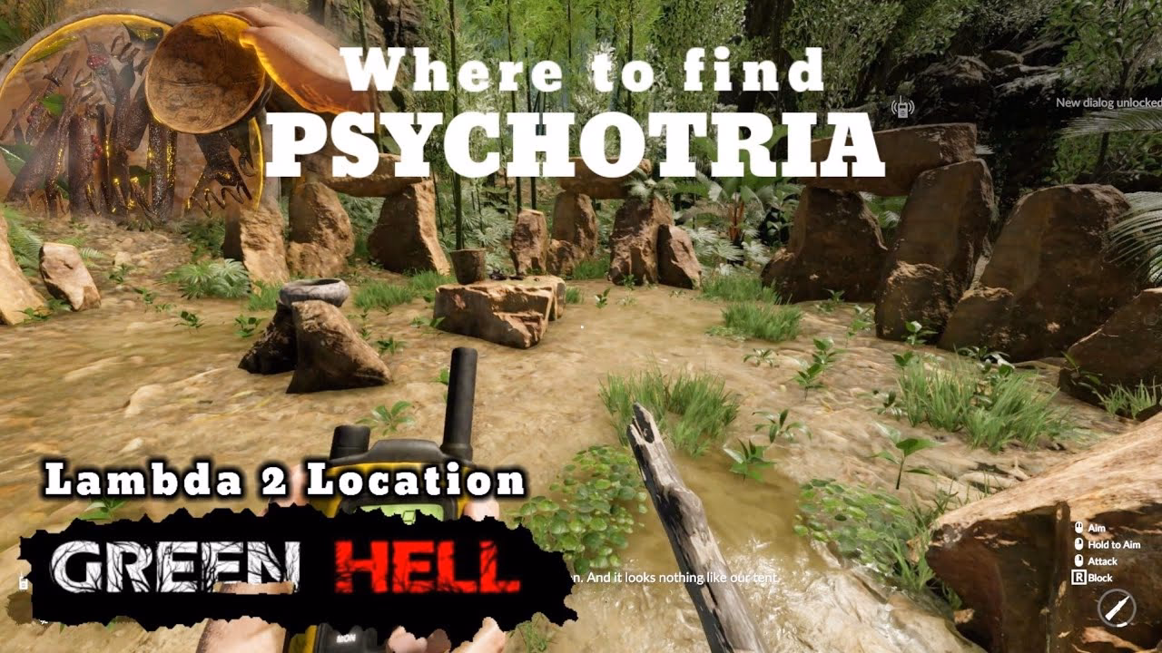 Is Green Hell a survival game?
