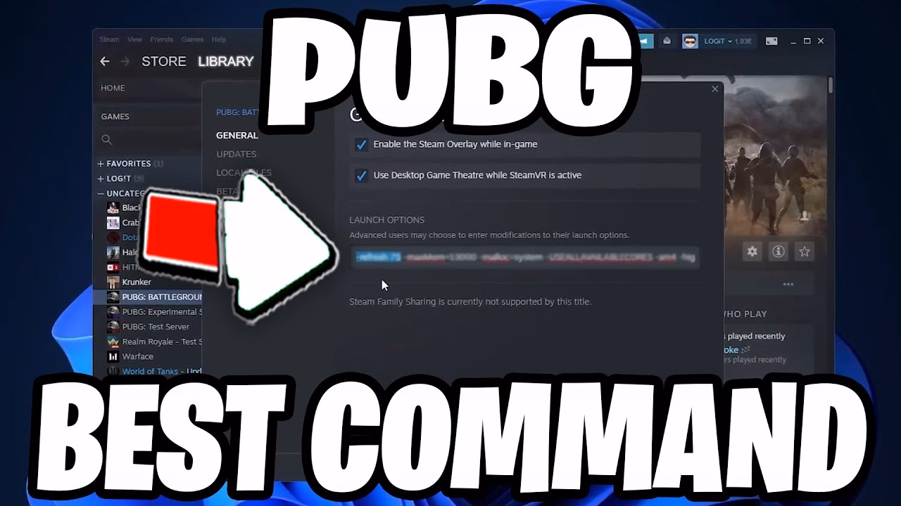 What PUBG settings do the pros use?