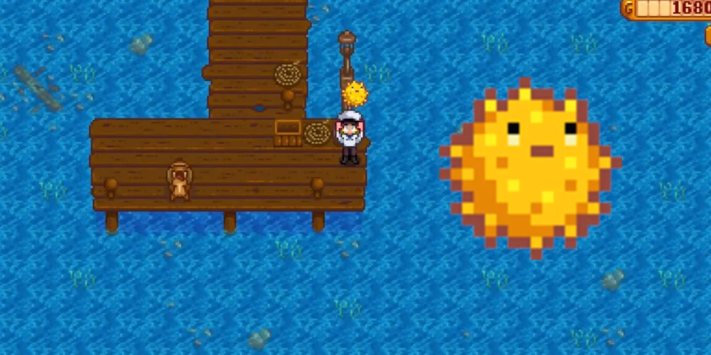 How do I find a fish in Stardew Valley?