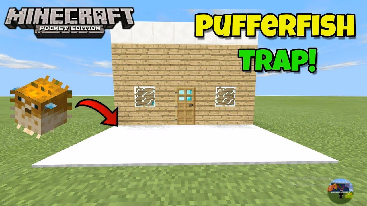 How do you use pufferfish?