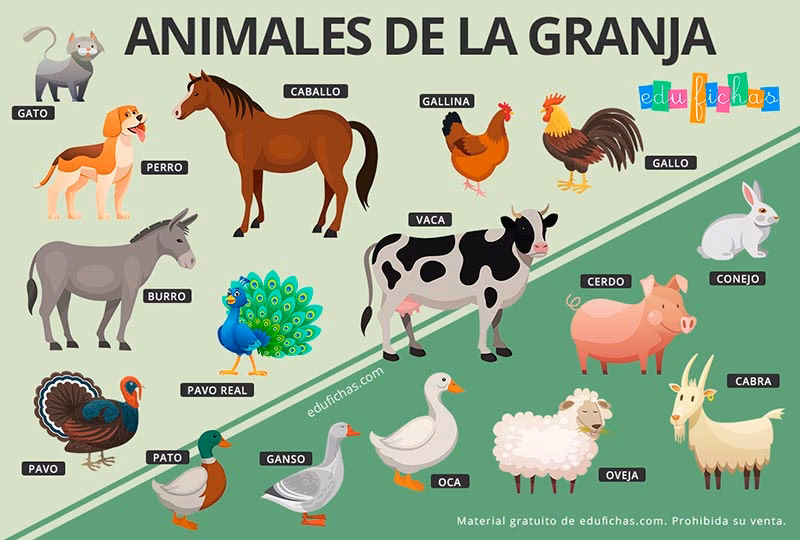 ¿Cuál es el interior de una granja?