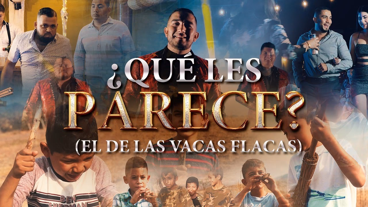 ¿Cuál es el sinonimo de pareció?