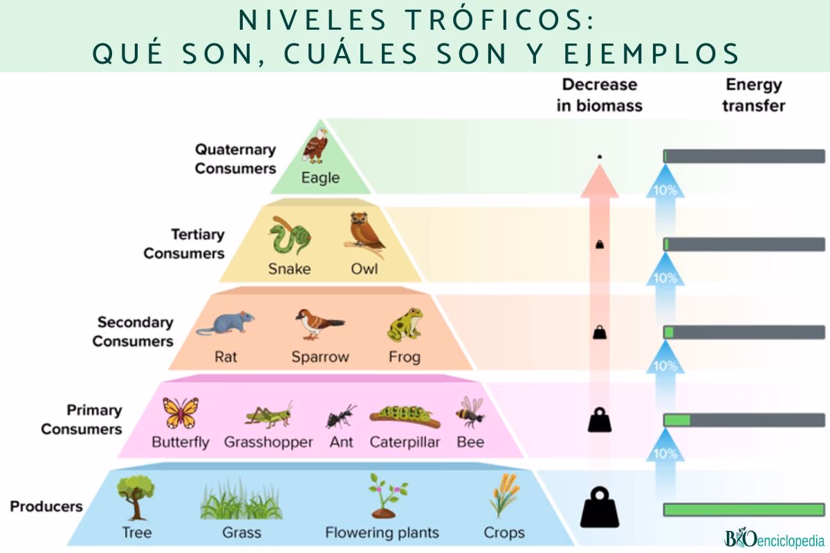 ¿Qué es un nivel y para qué sirve?