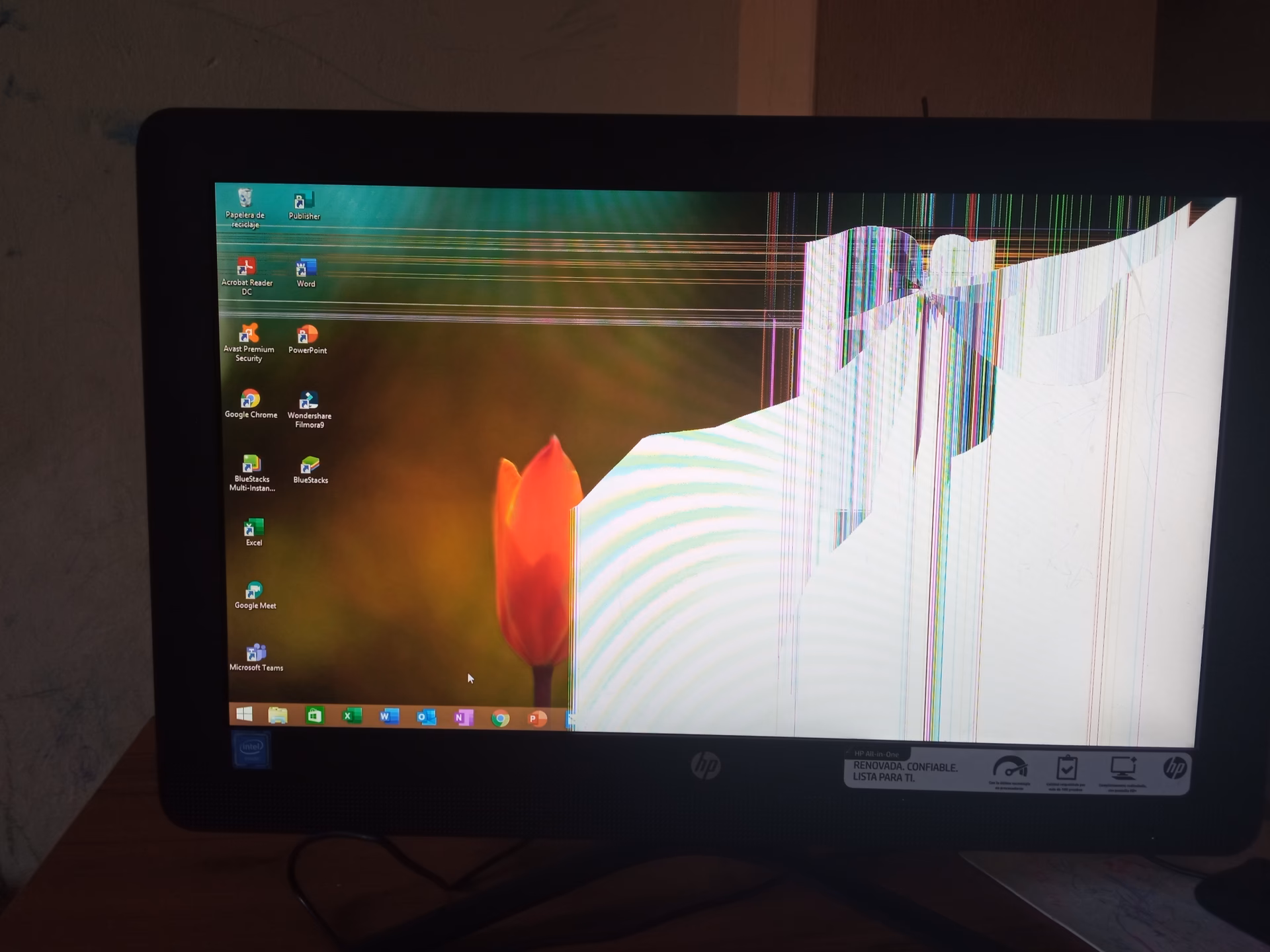 ¿Por qué mi pantalla se queda en negro?