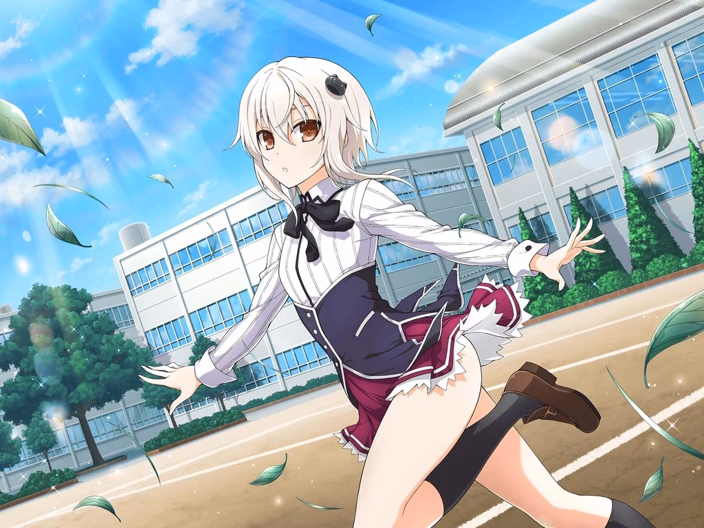 ¿Qué pasó con el canal de Koneko?