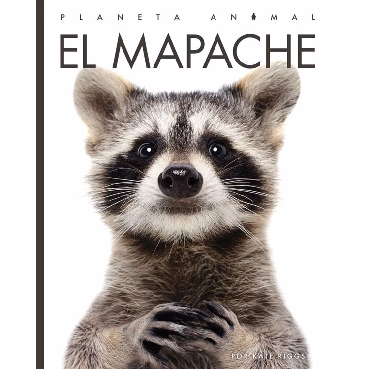 Are raccoons associated with rabies in cats?