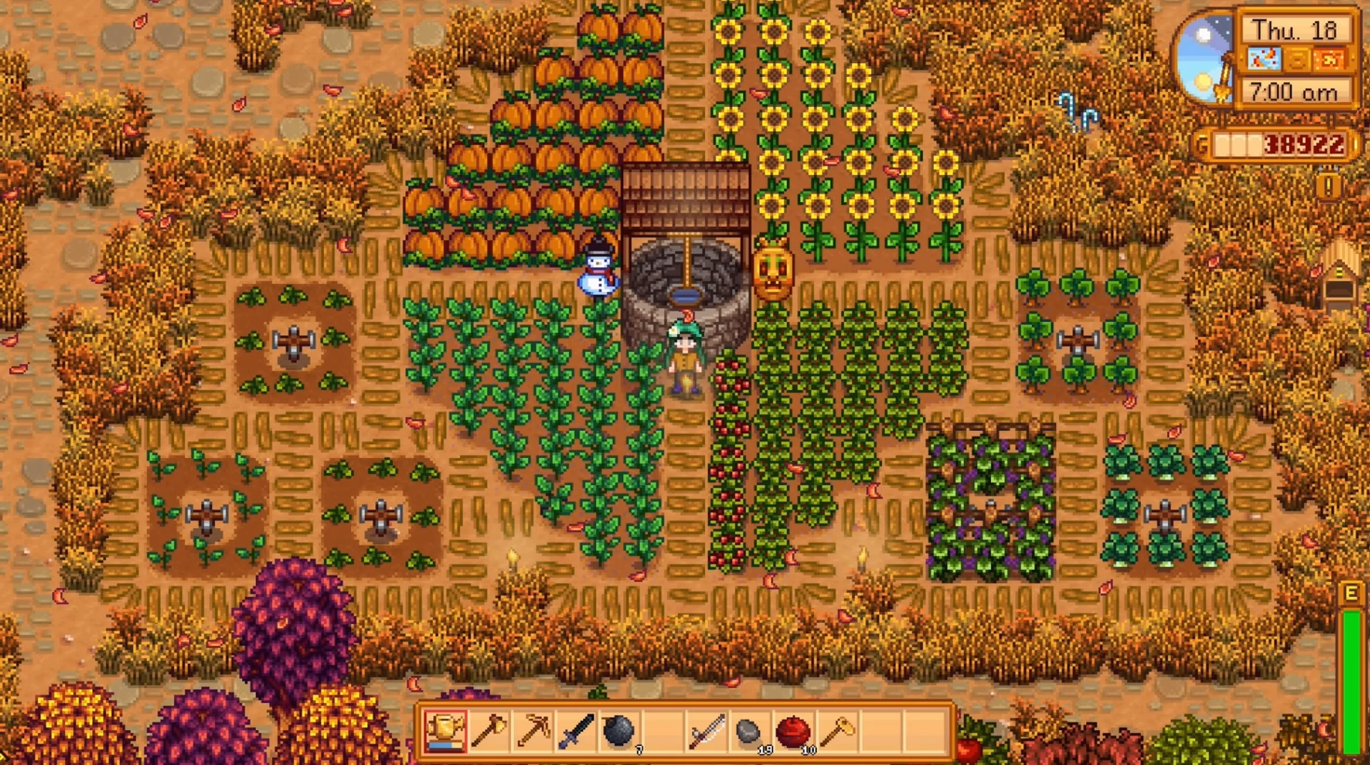 Where can I find radish seeds?