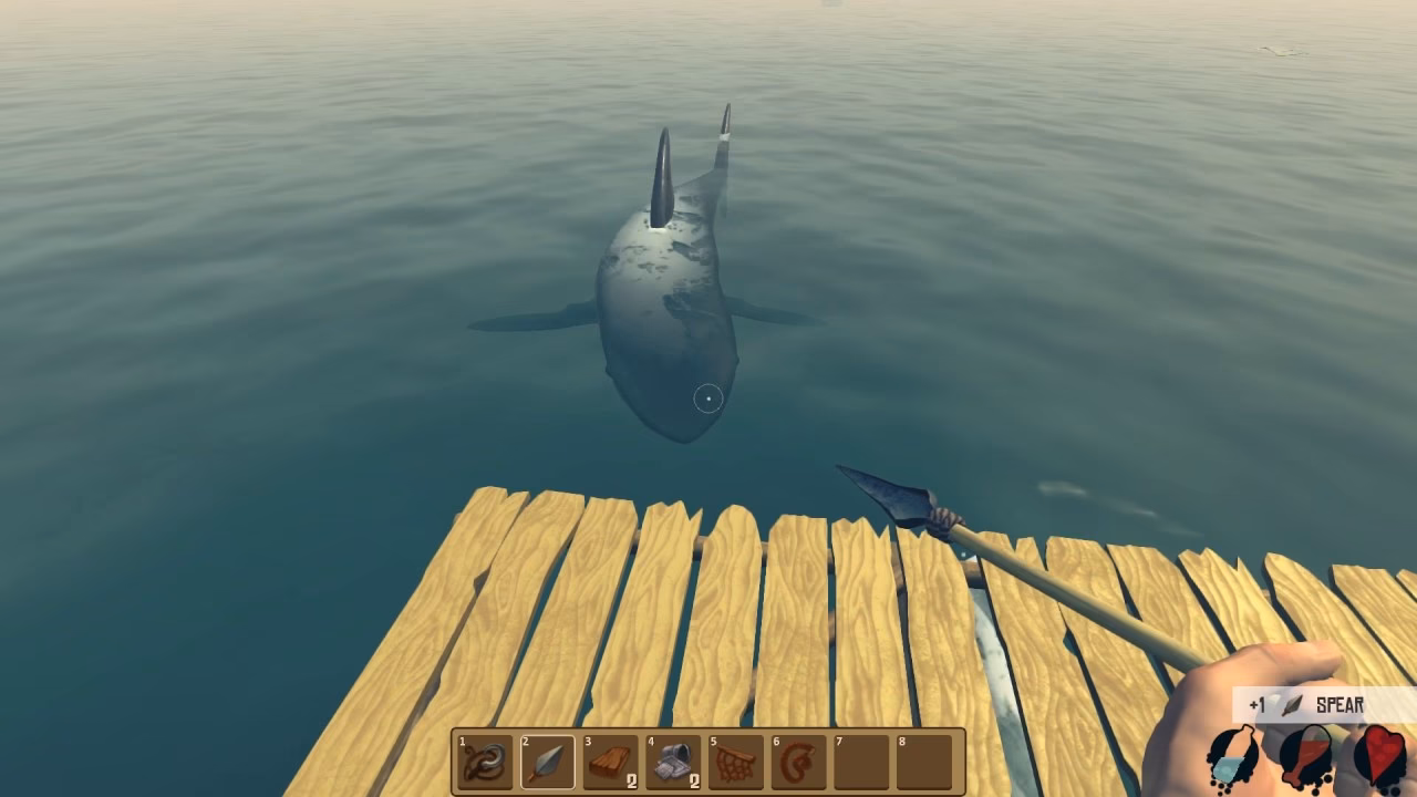 What is raft?