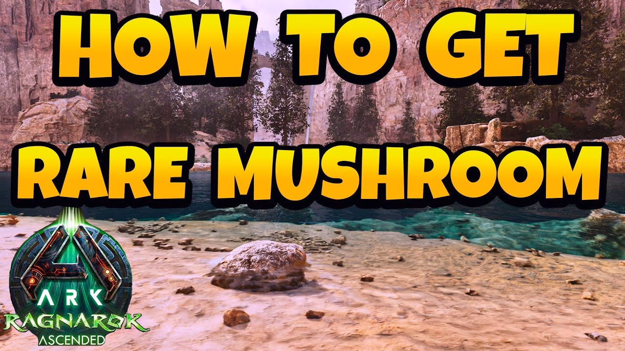 Where can I find rare mushrooms in rangnarock?