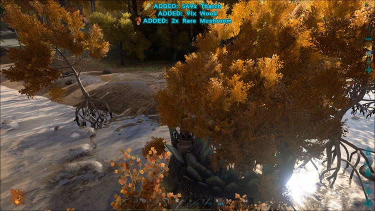 What is rare mushroom in Ark Survival Evolved?