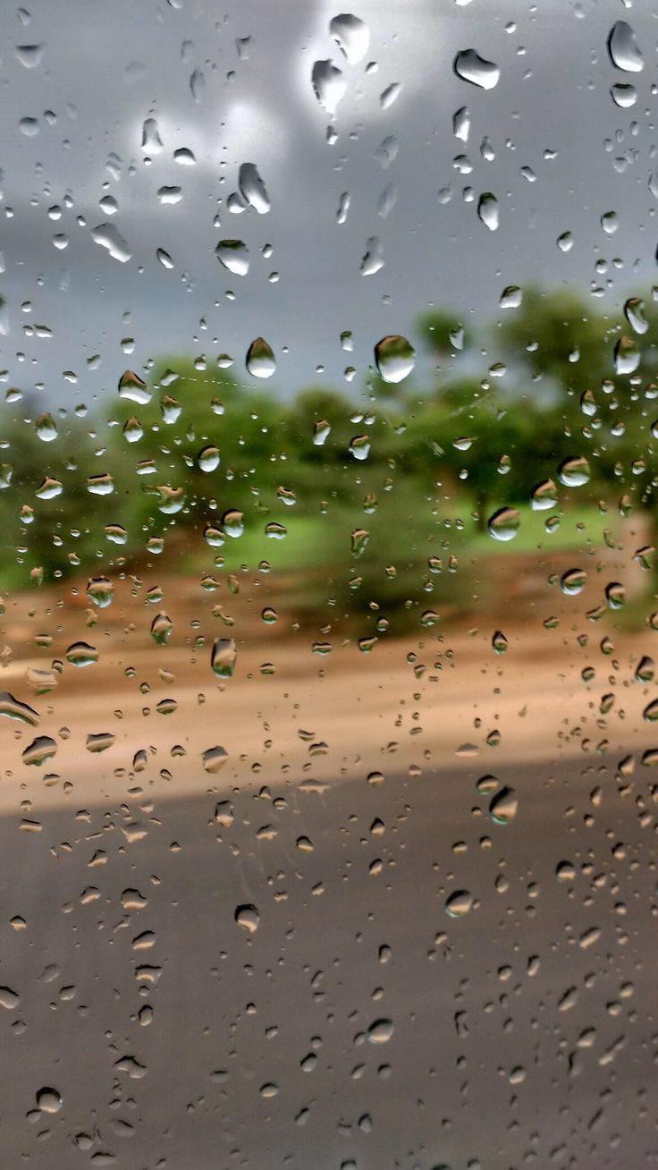 How many rain 4K wallpapers are there?