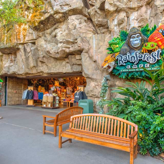 Who owns Rainforest Cafe?