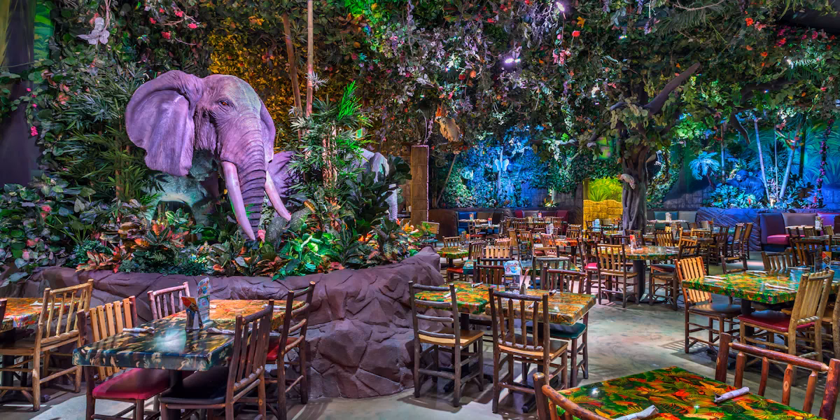 What is Rainforest Cafe?
