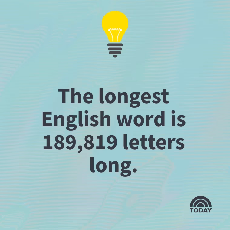 Are random facts worth it?