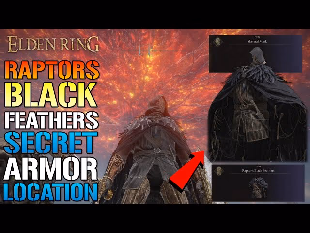 Where can I find Raptor's black feathers?