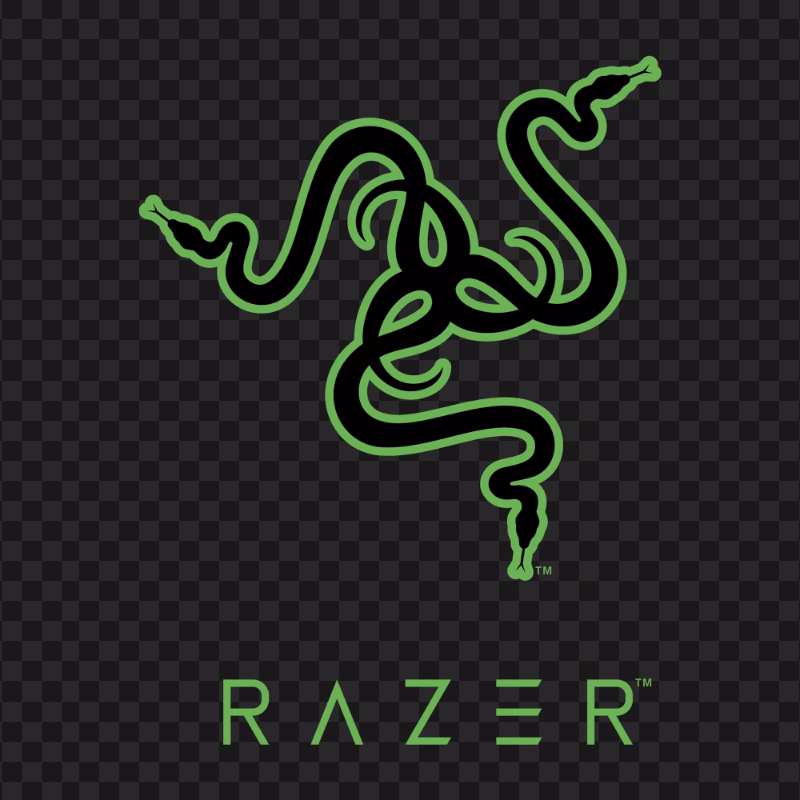 Why does Razer have a snake logo?