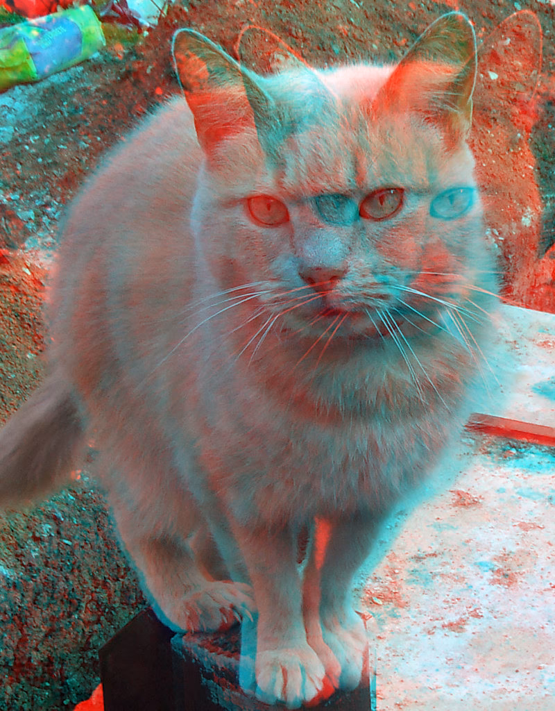 What is the difference between regular 2D and stereoscopic 3D?