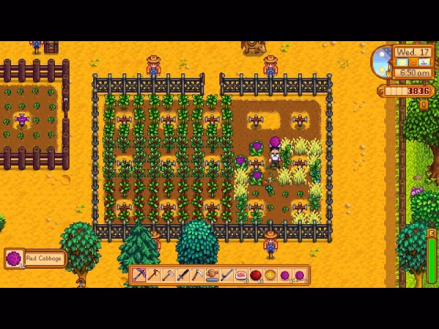 How do I get red cabbage seeds?