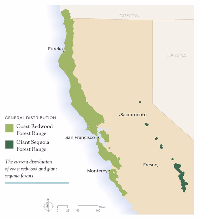 How many redwood forests are there in California?