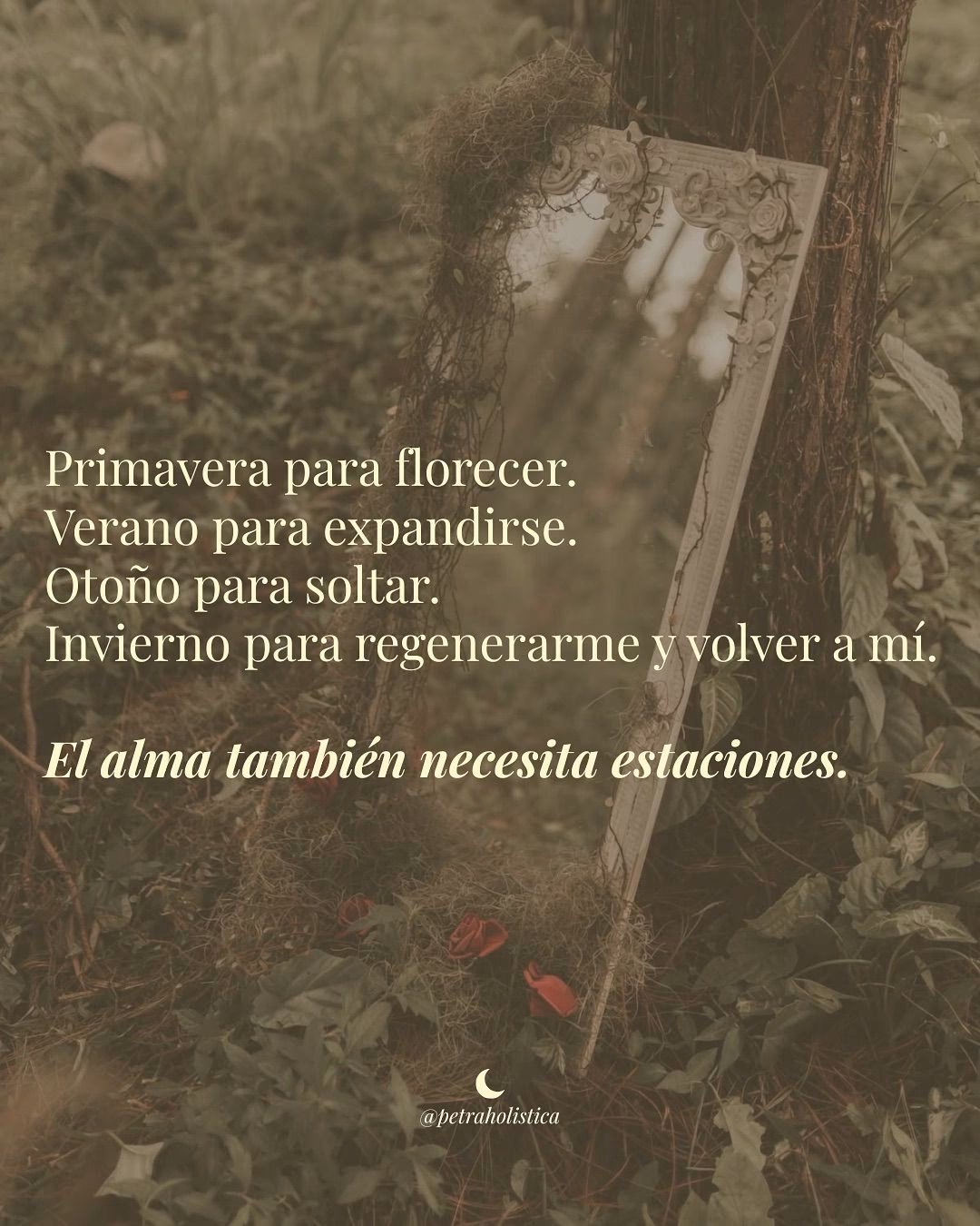¿Qué es regenerar?