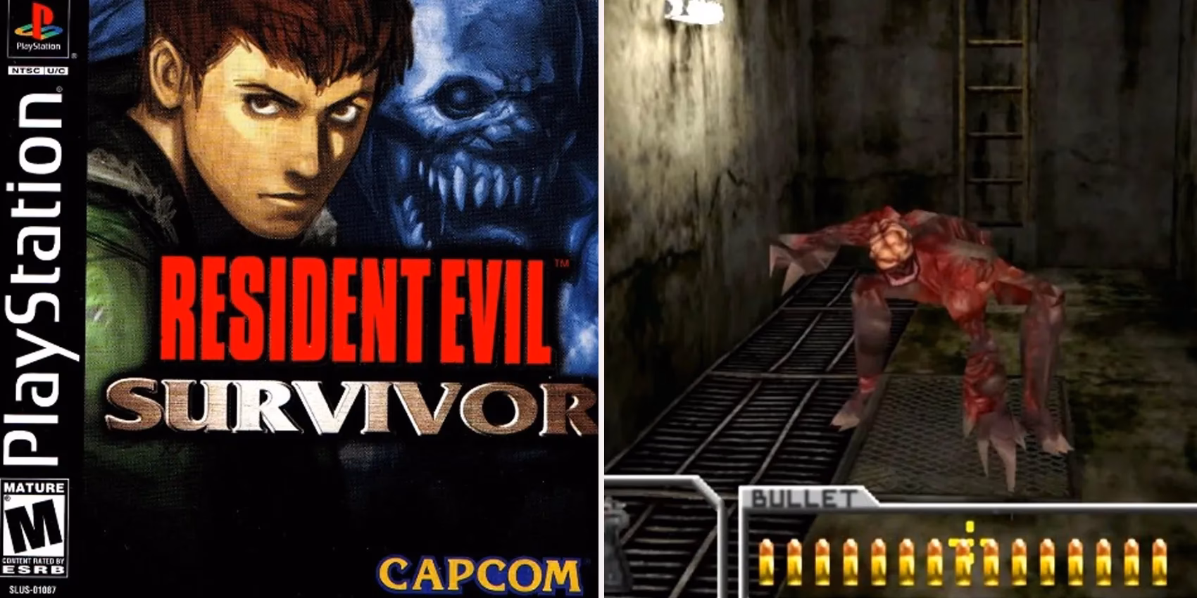 What is Resident Evil Survivor?
