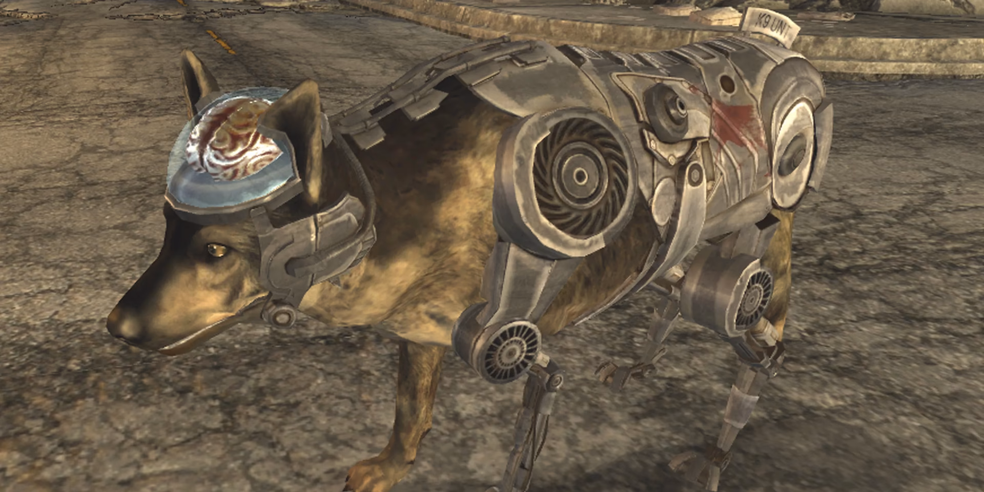 Where can I buy Rey's brain in Fallout New Vegas?