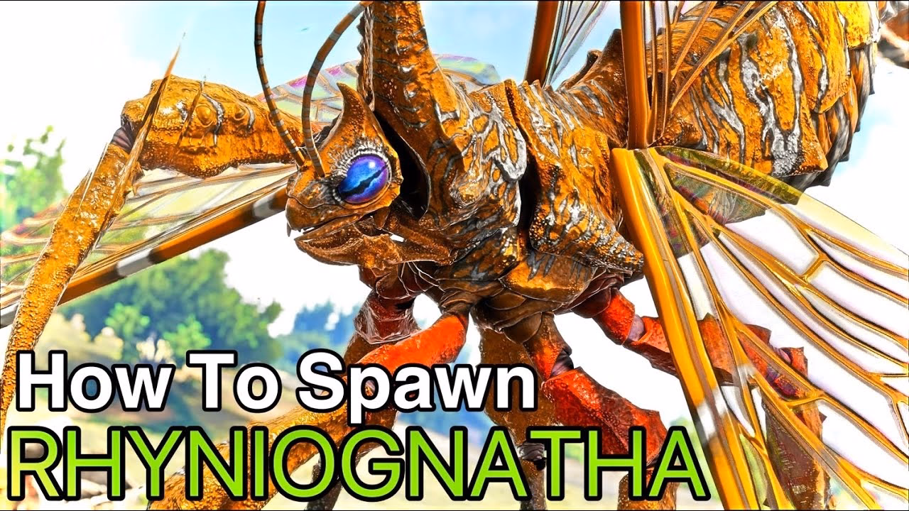 How do I copy Rhyniognatha saddle?