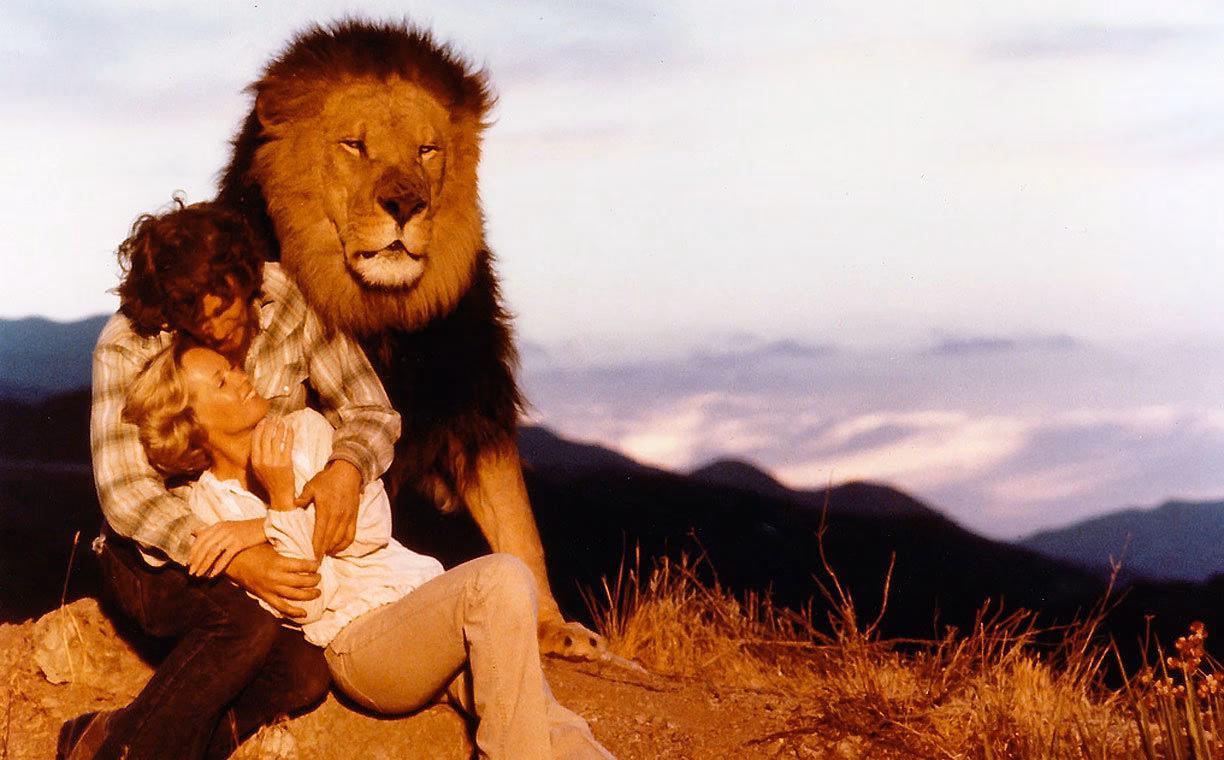 ¿Qué es Roar y para qué sirve?