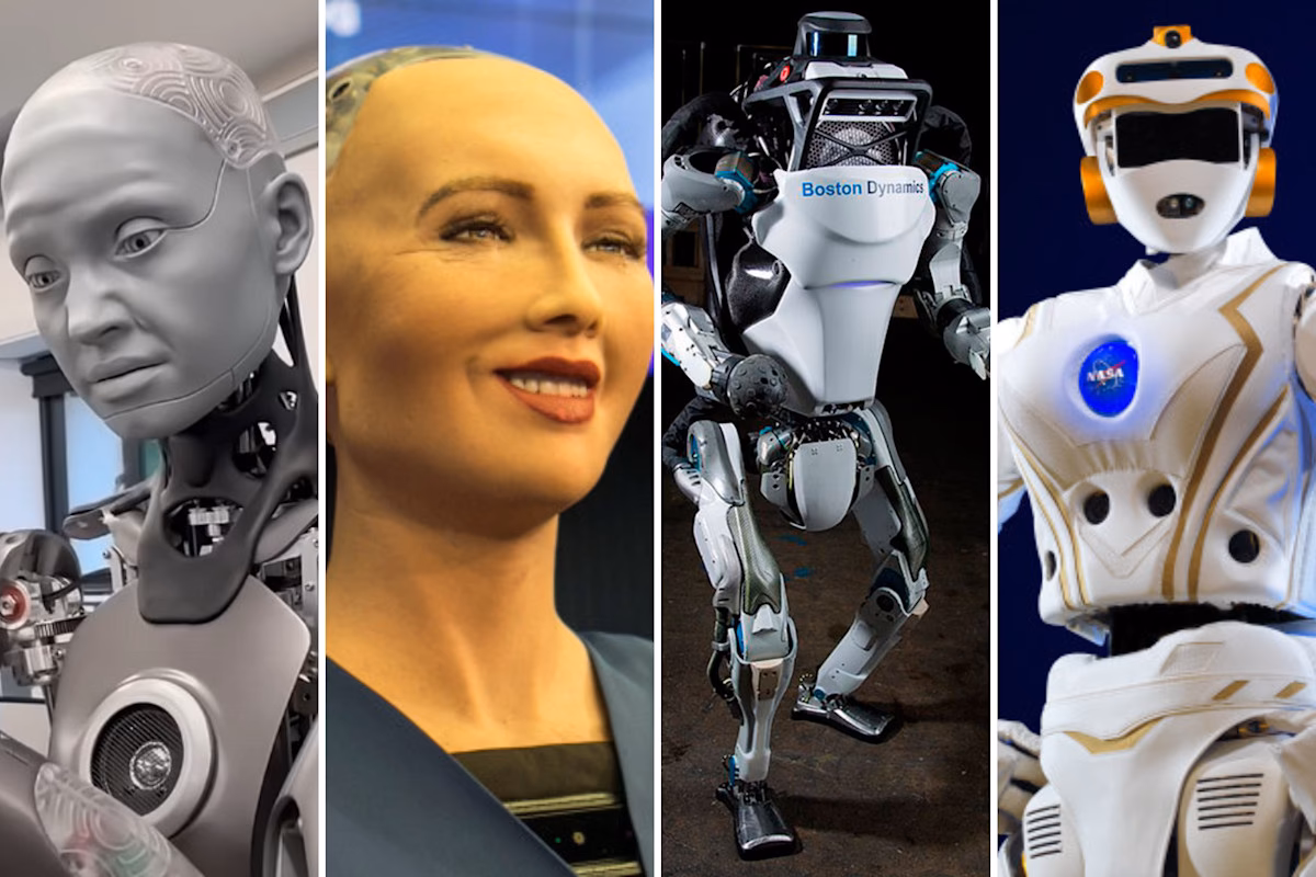 What is robot wants it all?